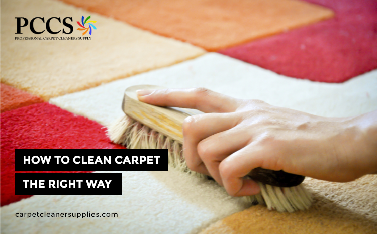 How To Clean Carpet The Right Way