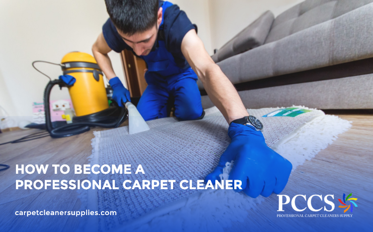 From Beginner to Pro: How to Become a Professional Carpet Cleaner